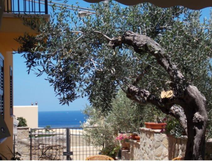 Modus B&B San Vito Lo Capo Luaran gambar
