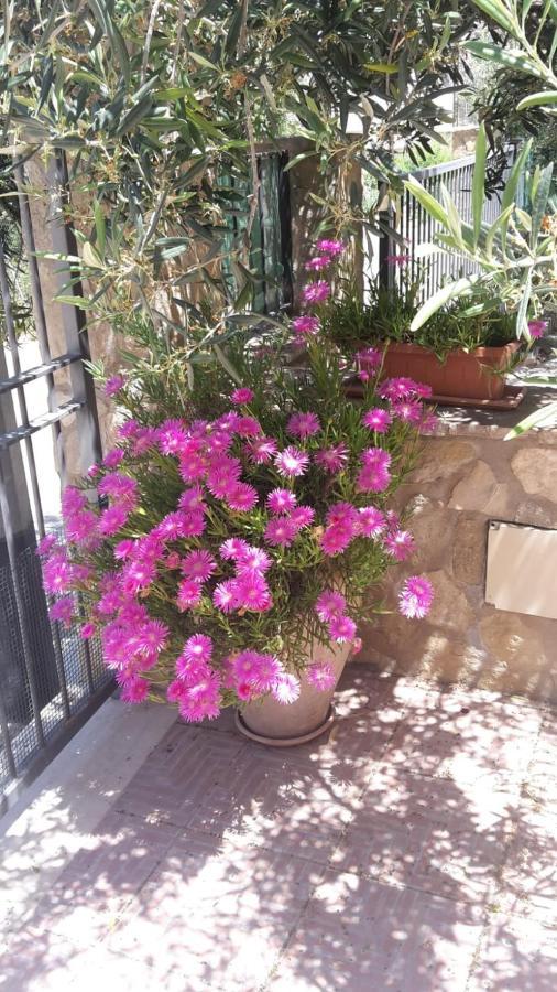 Modus B&B San Vito Lo Capo Luaran gambar