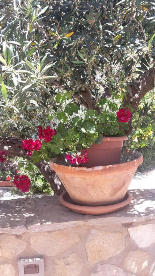 Modus B&B San Vito Lo Capo Luaran gambar